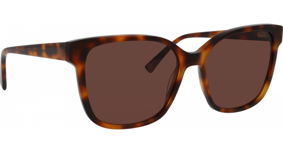 meineBrille 14-36070-02 - Ansicht 5