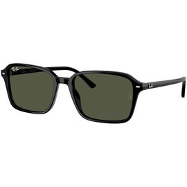  Ray-Ban 0RB2231 901/31