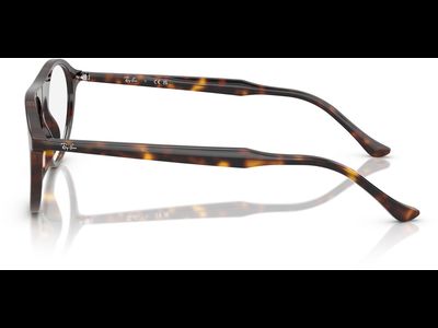 Ray-Ban Brille Unisex Ray-Ban RX5441 2012 Ansicht 3