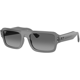  Ray-Ban Flacko RB4454 680571 56
