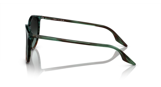 Ray-Ban RB2204 1394GK - Ansicht 4