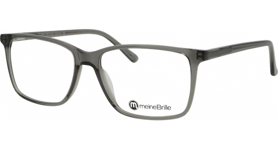 meineBrille 04-12010-04, Grau transparent glänzend - Ansicht 2