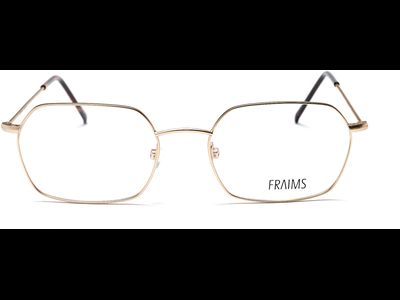 FRAIMS Brille Herren FRAIMS 03-97240-02 Taylor, Gold Matt Ansicht 2