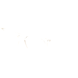 Saint Laurent Brille Herren Saint Laurent SL 623 OPT 49 004