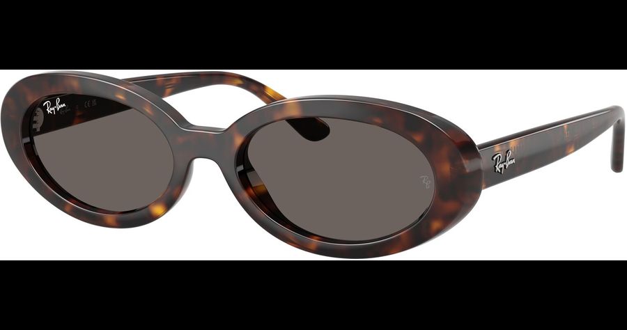 Ray-Ban Sonnenbrille Damen Ray-Ban RB2223 902/B1 Ansicht 1