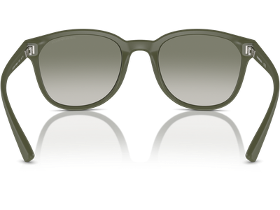 Emporio Armani Sonnenbrille Herren Emporio Armani EA4225U 60998E Ansicht 4