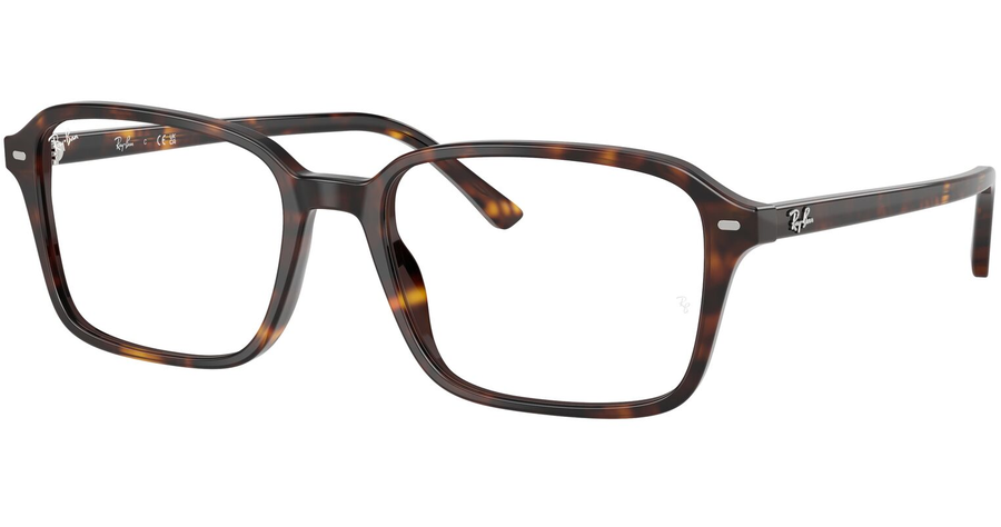 Ray-Ban Brille Unisex Ray-Ban Raimond RX5431 2012 Ansicht 1