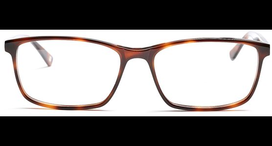 FRAIMS 03-97070-03 Phil, Havanna - Ansicht 3