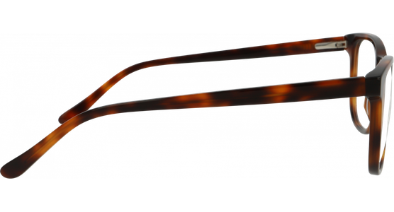 meineBrille 04-40170-02, Havanna gänzend - Ansicht 4