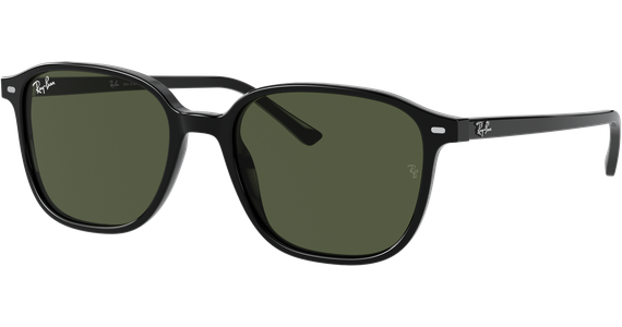 Ray-Ban Leonard RB2193 Glänzend Schwarz / Grün 901/31 53 - Ansicht 2