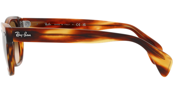 Ray-Ban RB0880S 954/51 - Ansicht 4