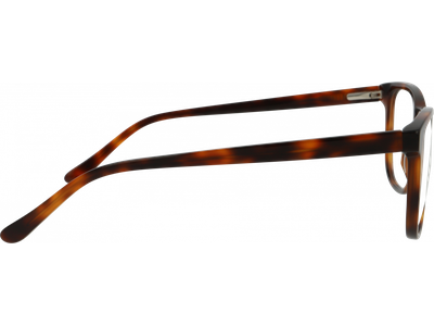 meineBrille Brille Unisex meineBrille 04-40170-02, Havanna gänzend Ansicht 3