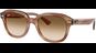 Ray-Ban Erik 0RB4398 140351