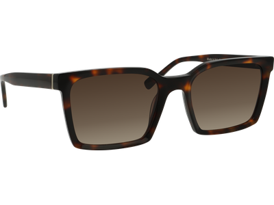 FRAIMS Sun Sonnenbrille Unisex FRAIMS 13-58110-01 Alex Ansicht 4