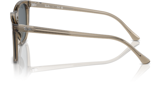 Ray-Ban 0RB2210 6765R5 - Ansicht 4