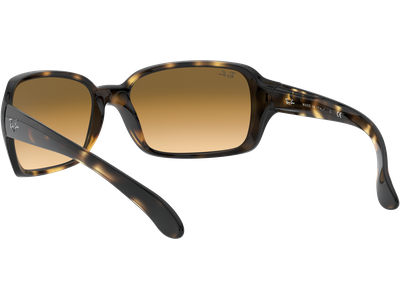 Ray-Ban Sonnenbrille Damen Ray-Ban RB4068 710/51 Ansicht 5