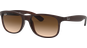 Ray-Ban Andy RB4202 606971 55
