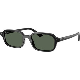  Ray-Ban RB4455 667771