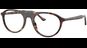 Ray-Ban RX5441 2012