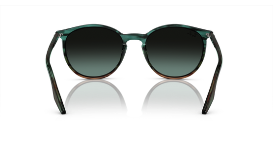 Ray-Ban RB2204 1394GK - Ansicht 5