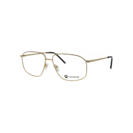 meineBrille 04-20190-02 Gold glänzend Schrägansicht links