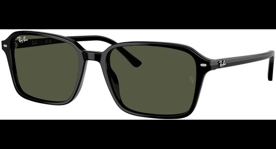 Ray-Ban 0RB2231 901/31 - Ansicht 2
